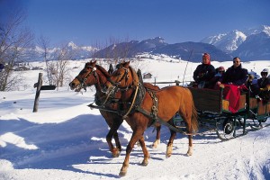 Pferdeschlitten im Allg&auml;u